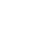 VP FUTURE BUSINESS